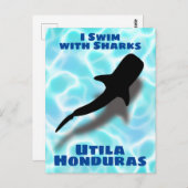 私はサメと泳ぐ，ホンジュラスホエールシャーク ポストカード (正面/裏面)