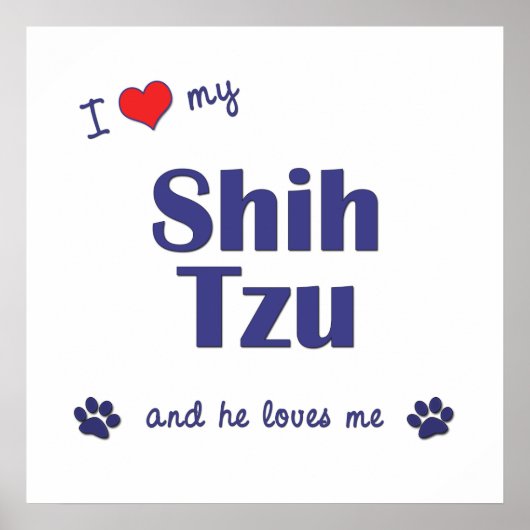 私はシーズー（犬）Tzuが大好き ポスター (正面)