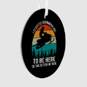 私はストップここに来た オーナメント (正面)