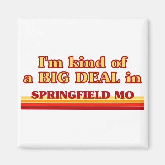 私はスプリングフィールドで大きな取引の一種である マグネット (正面)