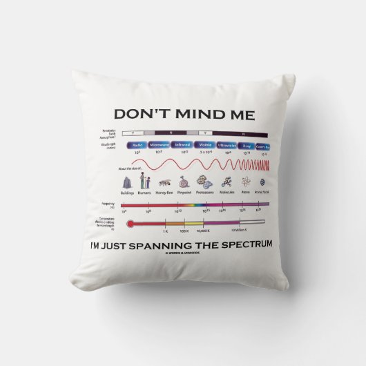 私はスペクトルのユーモアに広がっている私を気にしない クッション (正面)