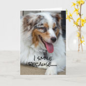 私はスマイルだから私は"40"を回っている、私はしていない! カード (黄色い花)