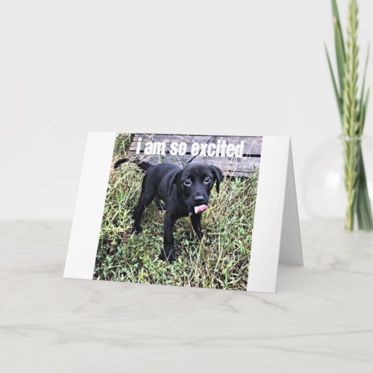 私はスマイルを送り、***お祝いを言います***** カード (正面)