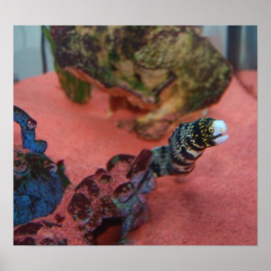 私はスリムではない！ ポスター (正面)