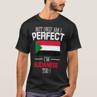 私はスーダン人の旗を完璧にしているだけでなく Tシャツ