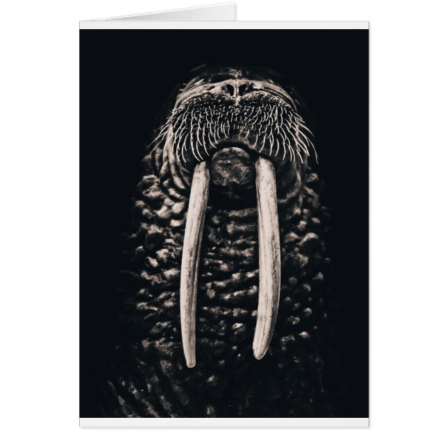 私はセイウチです (正面)