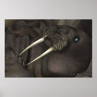 私はセイウチ ポスター