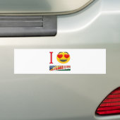 私はセイシェルを愛します バンパーステッカー (車上)