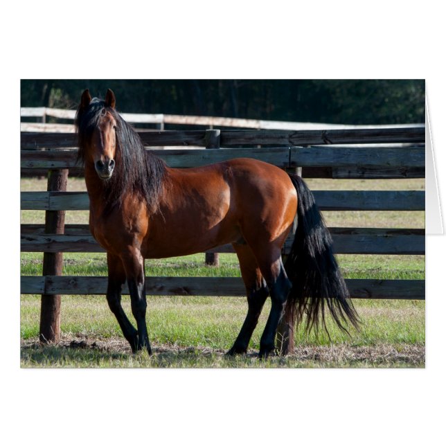 私はセクシー (正面横)