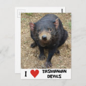 私はタスマニアの悪魔が大好き ポストカード (正面/裏面)