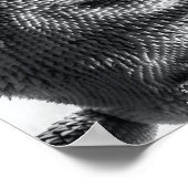 「私はトカゲの王だ」白黒トカゲ ポスター (角)