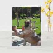 私はドイツの羊飼い記念日カードが大好き カード (黄色い花)