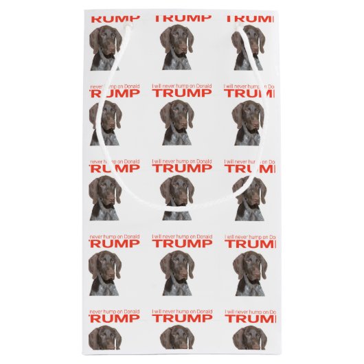 私はドナルドトランプを決して食べない！ スモールペーパーバッグ (裏面)