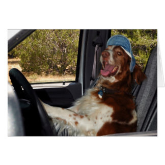 私はドライブ55できません! -カスタマイズ