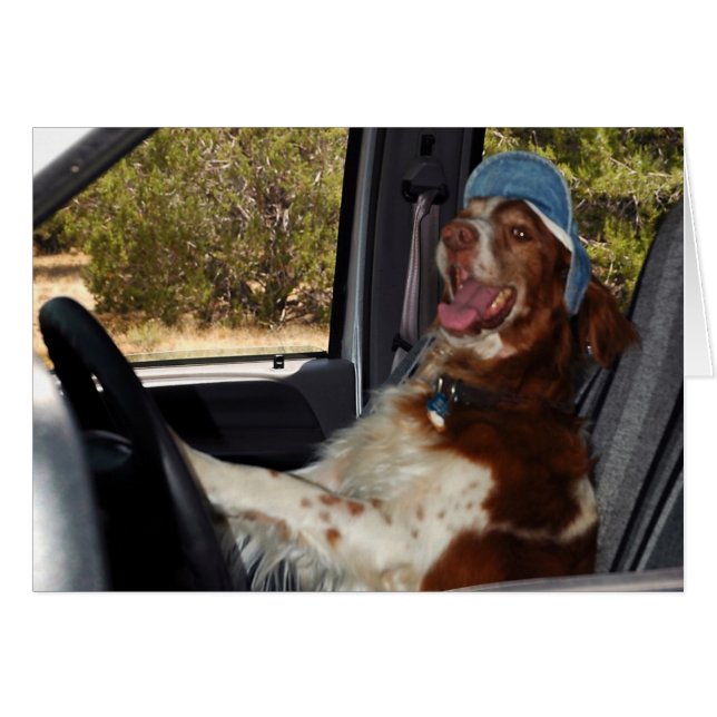 私はドライブ55できません! -カスタマイズ (正面横)