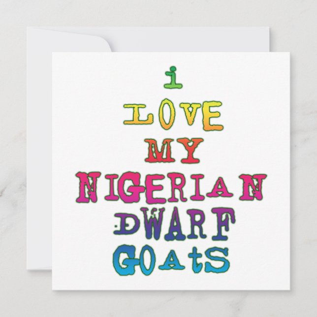 私はナイジェリア人のドワーフ・ヤギが大好き (正面)