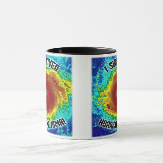 私はハリケーンのイルマのマグを生き延びました マグカップ (中央)