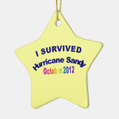 私はハリケーンのサンディのオーナメントを生き延びました セラミックオーナメント (左)