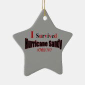 私はハリケーンのサンディの星のオーナメントを生き延びました セラミックオーナメント (右)