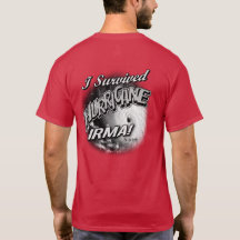 私はハリケーンイルマを生き延びました