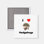 私はハリネズミ磁石が大好き マグネット (正面/裏面)