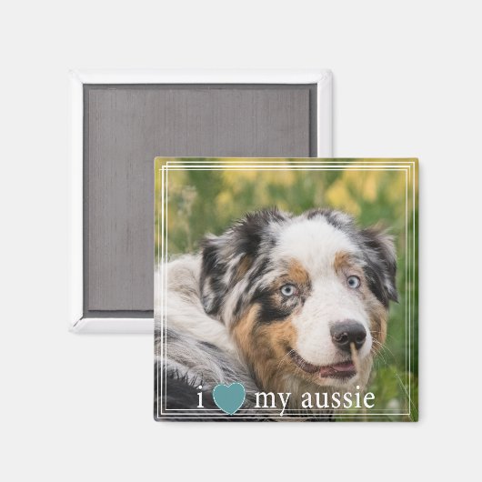 私はハート私のオーストラリアの羊飼い白 マグネット (正面/裏面)