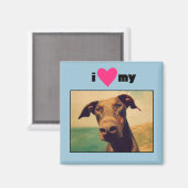 私はハート私の自然なドバーマンドッグ マグネット (正面/裏面)
