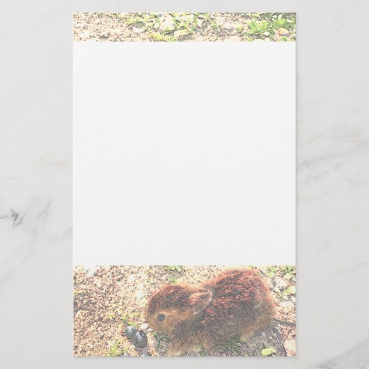 私はバニーをLOVE! かわいい 便箋 (正面)