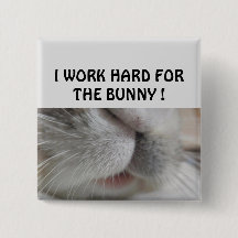 私はバニー懸命に勤めている