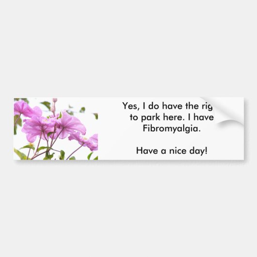 私はバンパーステッカーをここに駐車してもいいです バンパーステッカー (正面)