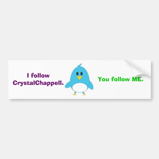 私はバンパーステッカーを後を追います バンパーステッカー (正面)