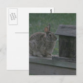 私はバーディーです ポストカード (正面/裏面)