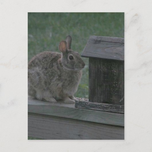 私はバーディーです ポストカード (正面)