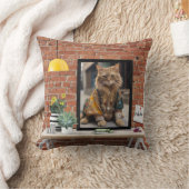 私はパキスタン出身だ クッション (ブランケット)