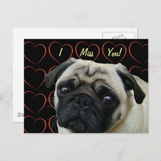 私はパグが大好きハート ポストカード (正面/裏面)