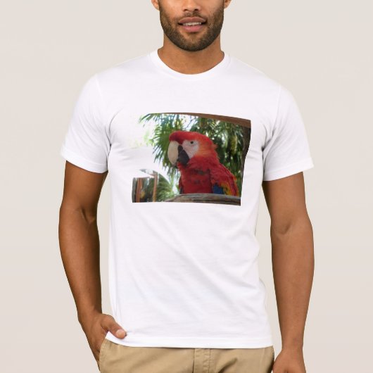 私はパロッツが大好き Tシャツ (正面)