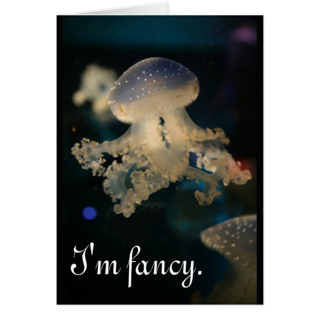 私はファンシーです (正面)