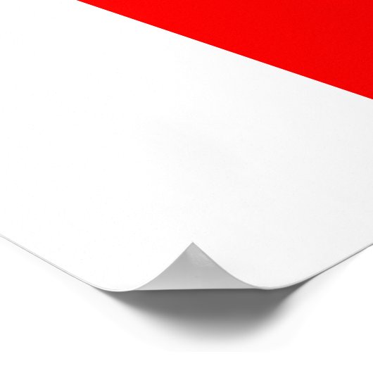 私はフィットすることを約束 ポスター (角)