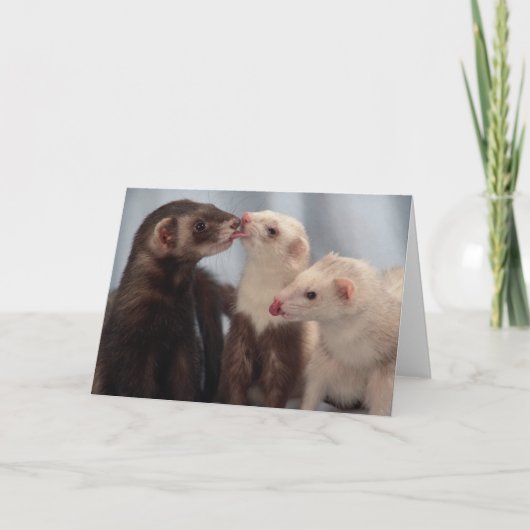 私はフェレットを愛します カード (正面)