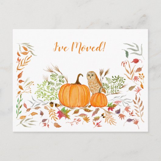 私はフクロウやカボチャで紅葉を動かした 案内ポストカード (正面)