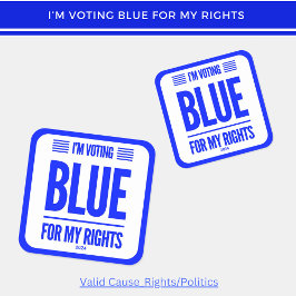 私はブルーデモクラットに投票している スクエアシール