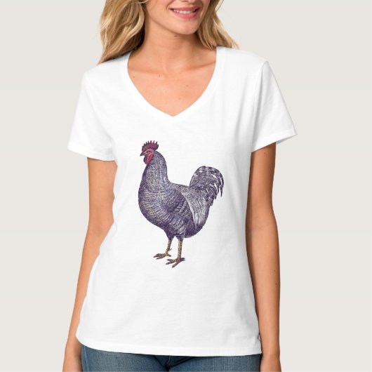 私はプリマスのロックチキンが大好き – ヴィンテージの鶏 Tシャツ (正面)