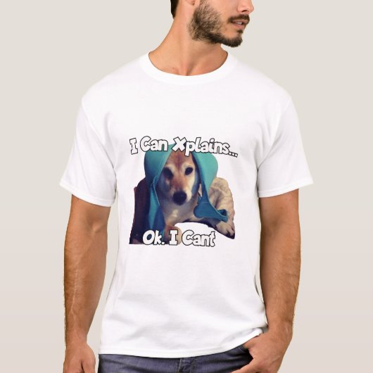 私はプレインズ…分かった。出来ない。 Tシャツ (正面)