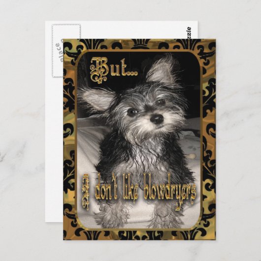 私はヘアドライヤーヨークシャーテリアが好きではない ポストカード (正面/裏面)