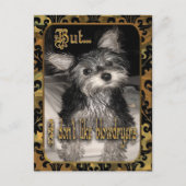 私はヘアドライヤーヨークシャーテリアが好きではない ポストカード (正面)