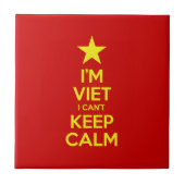 私はベトナム人で落ち着保きない タイル (正面)