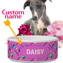 私はペットという名前のピクレボールピンクが大好き