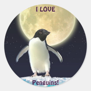 私はペンギンかわいいペンギンのステッカーが大好き ラウンドシール
