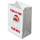 私はホーのアフリカ系アメリカ人サンタ・ホワイトのためにやっている ミディアムペーパーバッグ (正面アングル)