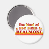 私はボーモントで大きな問題を抱えている マグネット (正面/裏面)